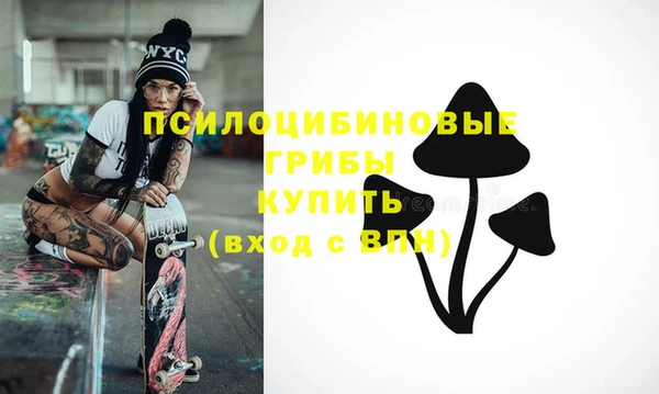 spice Пересвет