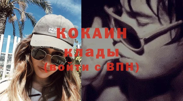 твердый Осинники