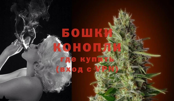 spice Пересвет