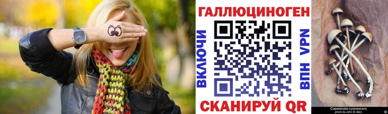 Купить закладки  Калуга  Галлюциногенные грибы Psilocybine cubensis 