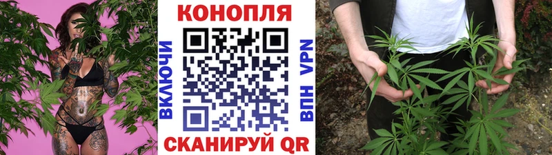 Шишки марихуана сатива  Купить  Калуга 